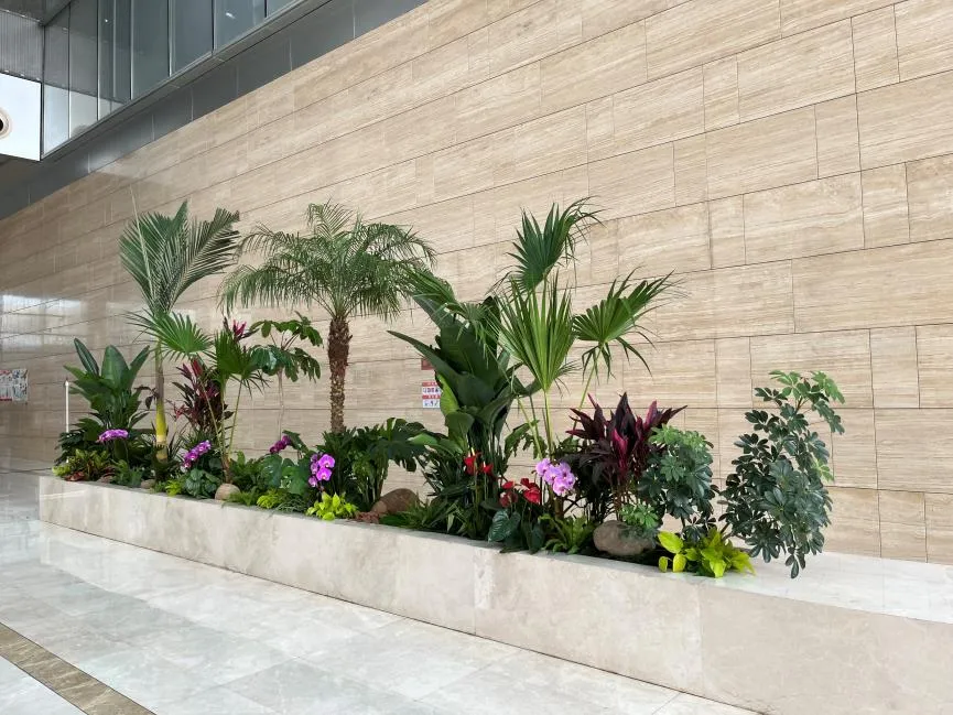 宁波江北花卉租赁设计，为你定制专属绿植盛宴